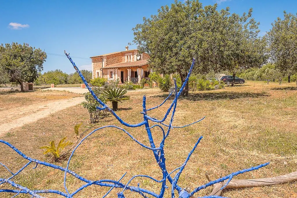 Villa Can Alba Llucmajor